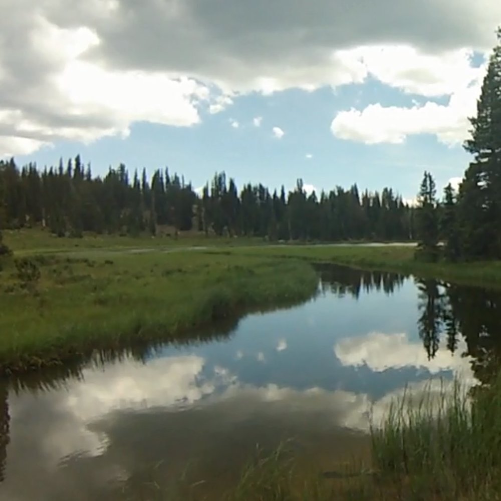 Meet your Posher, Katlyn